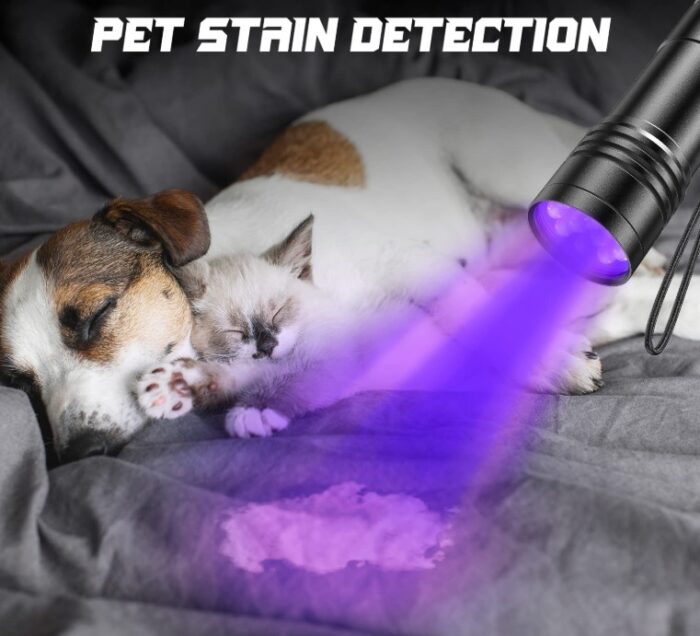 Ultraviolet LED Flashlight - Image 4