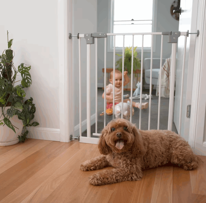 Baby/Pet Gate - Image 3