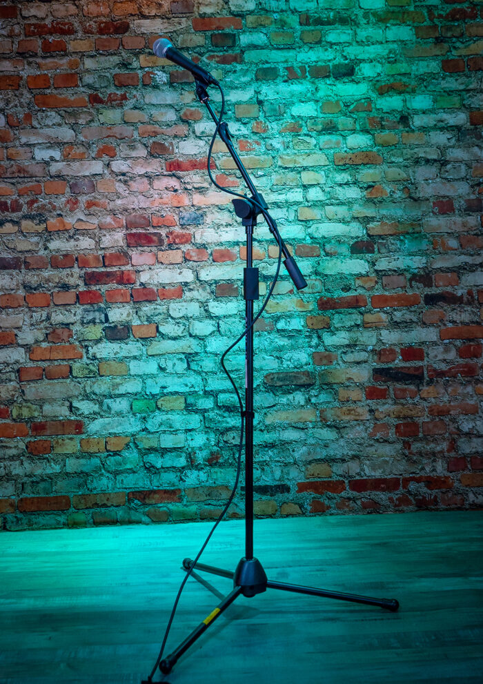 Microphone Boom Stand - Image 2
