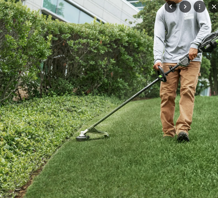 EGO 56V Commercial Line Trimmer 45CM - Image 3