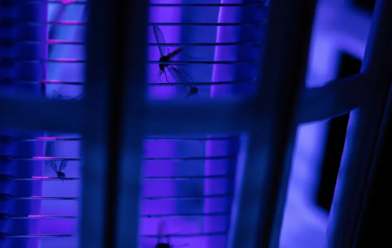 Bug Zapper - Image 3